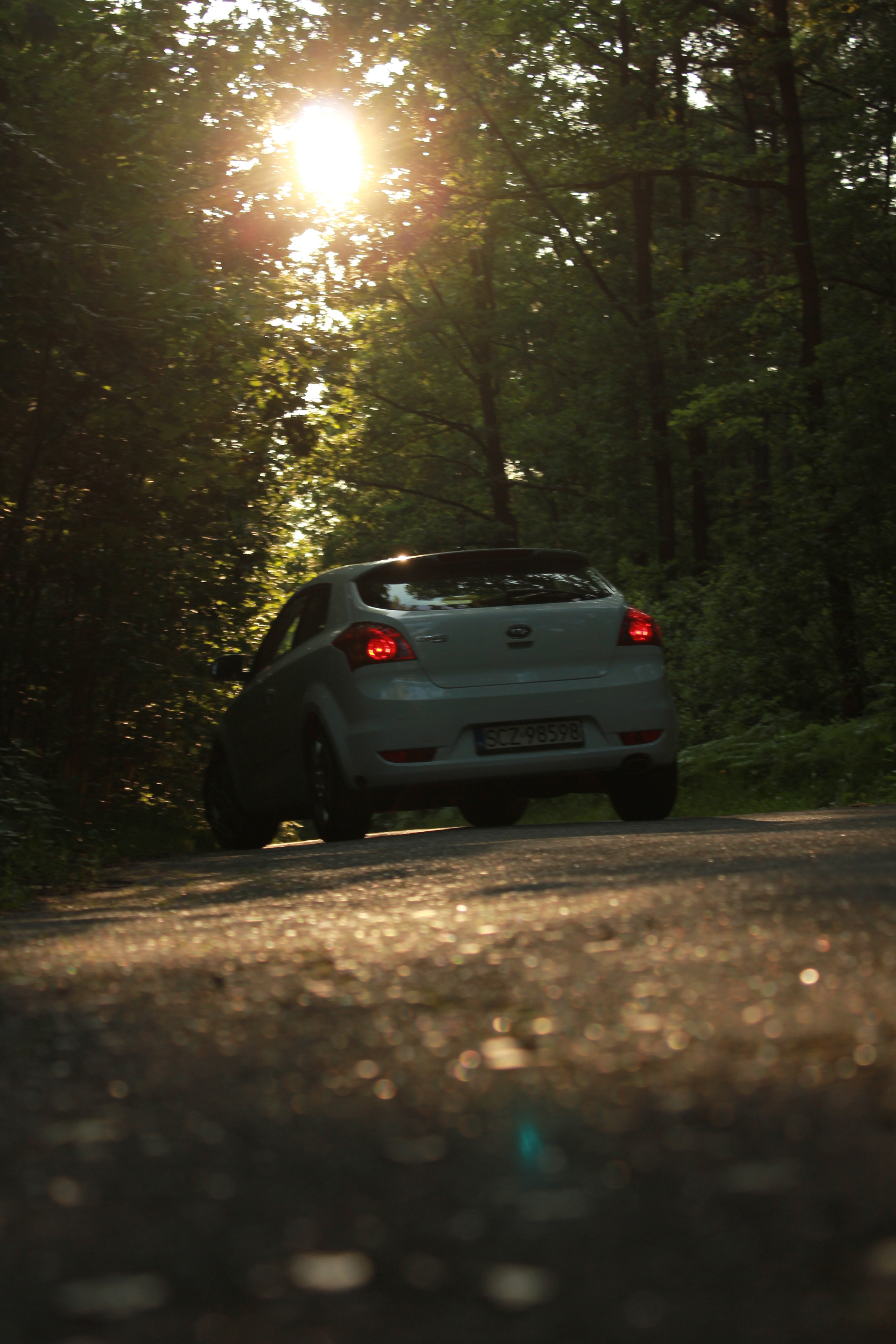 test5 – zdjęcie 11 | Alevtyna Photography