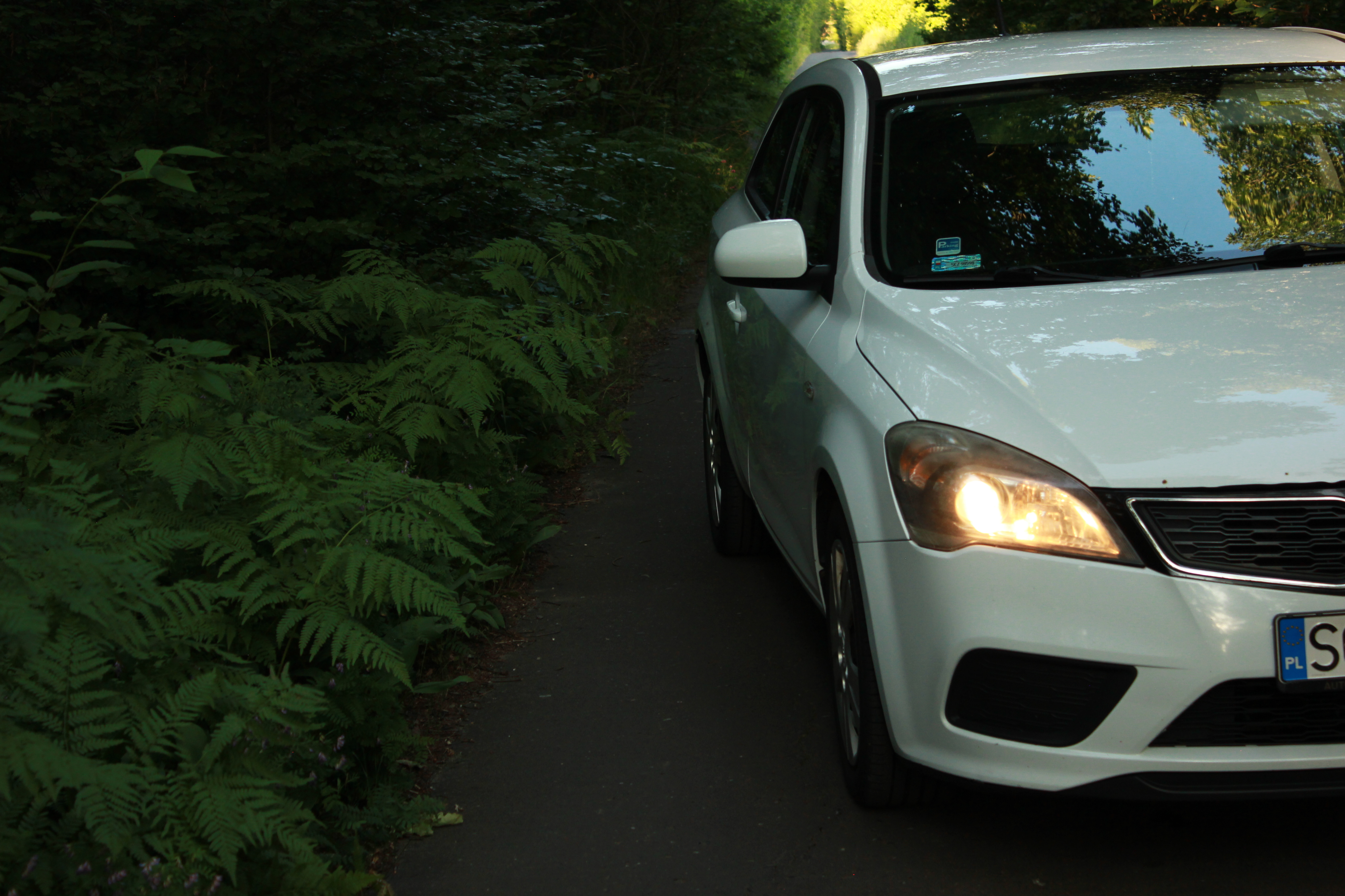 test5 – zdjęcie 32 | Alevtyna Photography