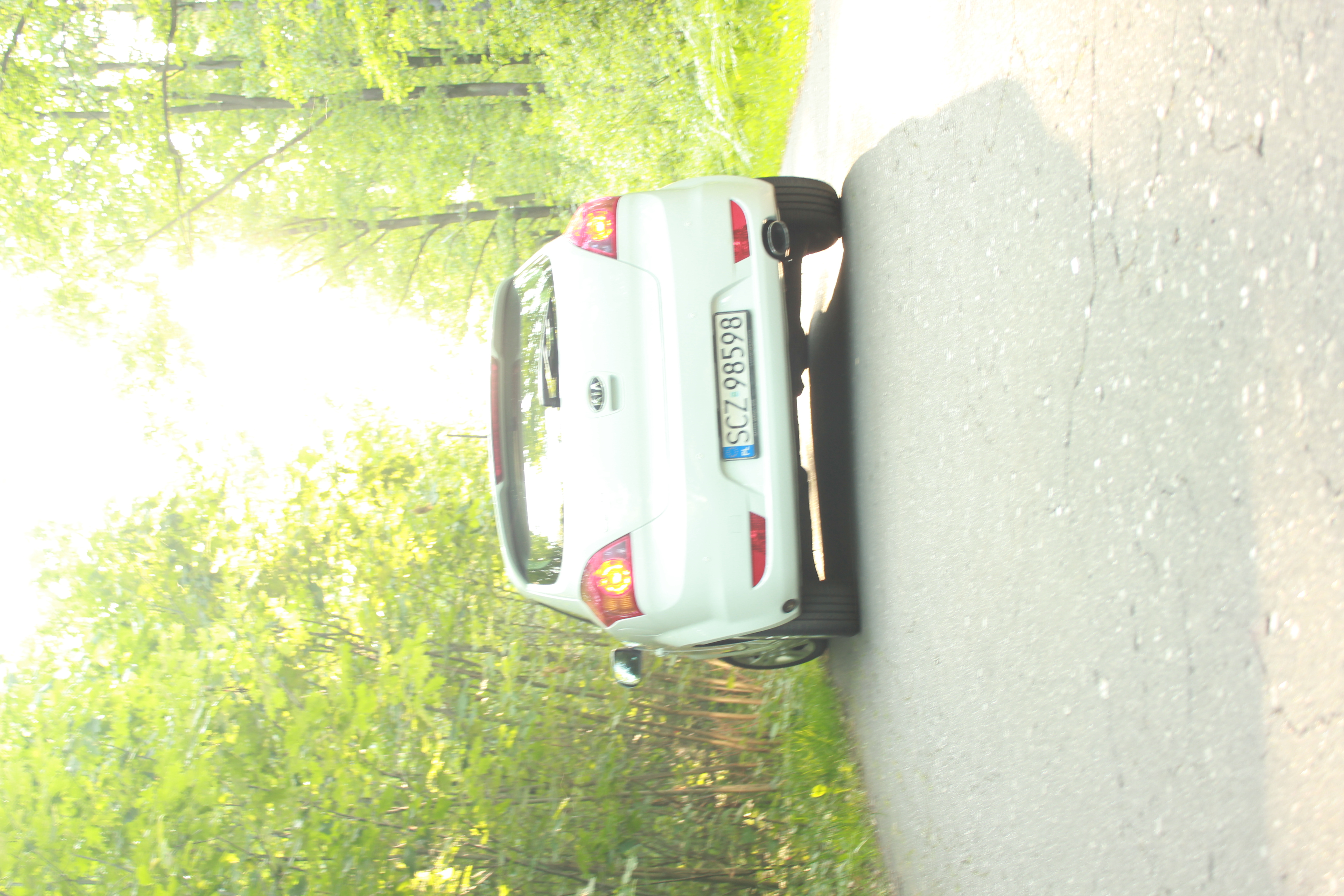 test5 – zdjęcie 7 | Alevtyna Photography