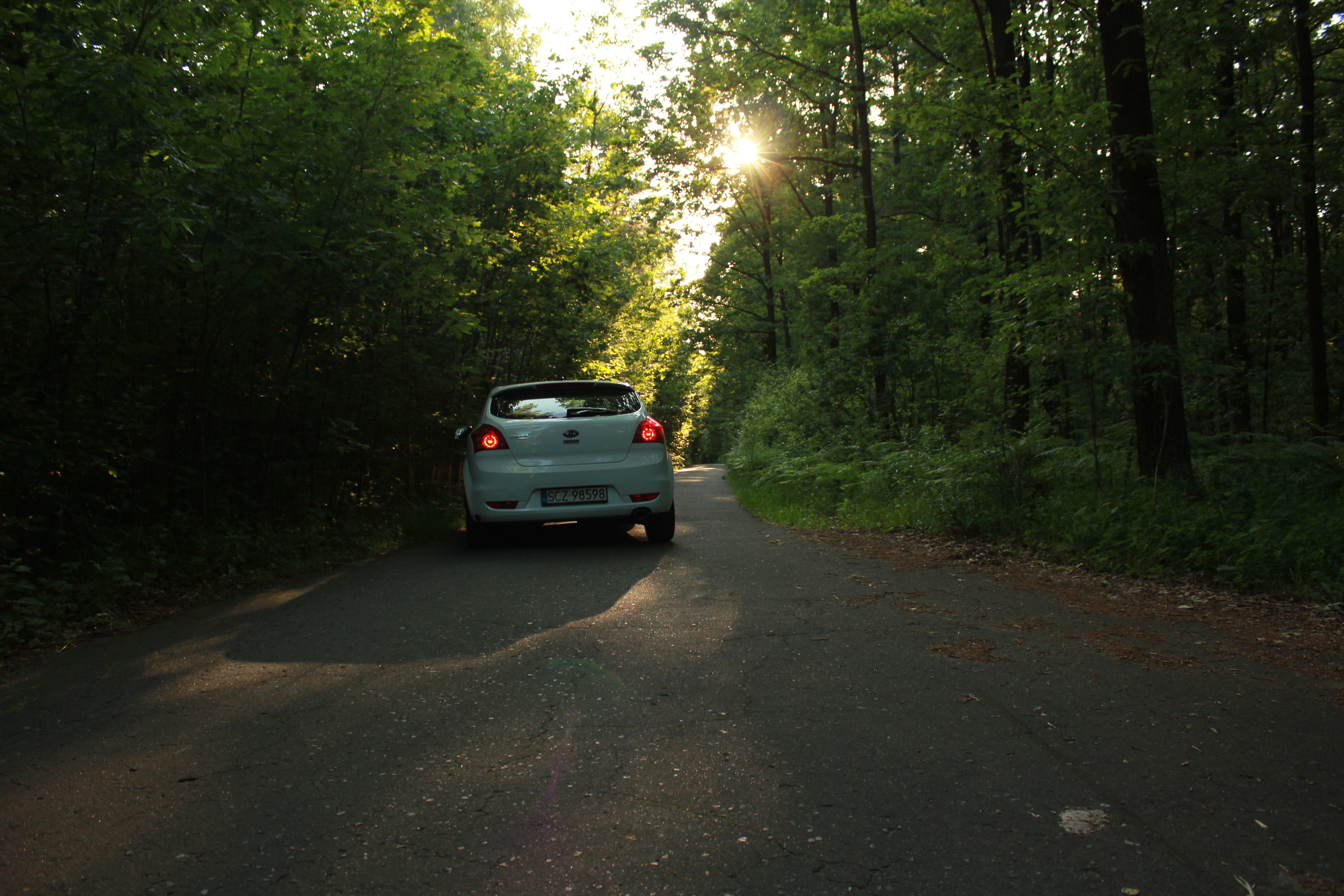 test5 – zdjęcie 17 | Alevtyna Photography