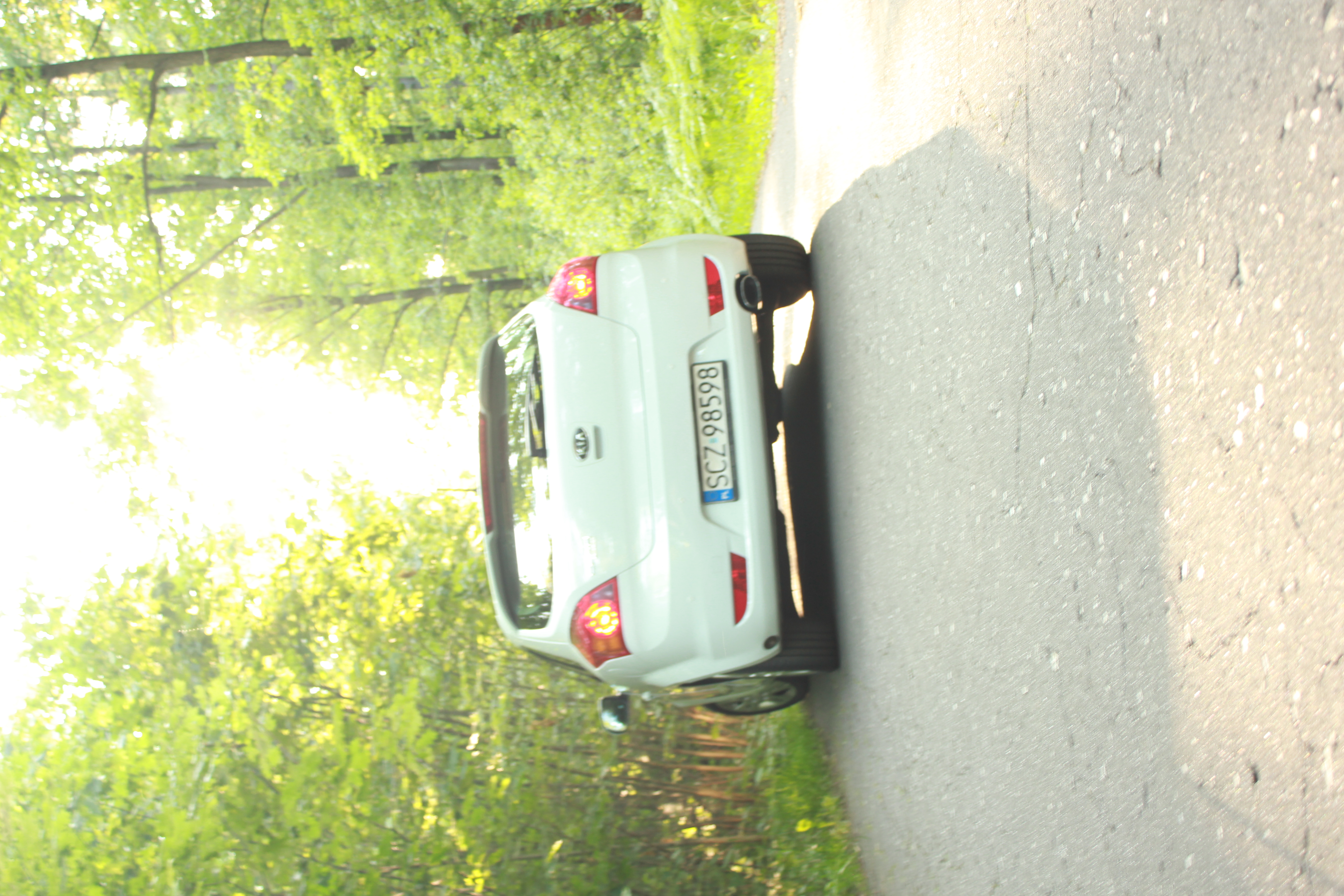 test5 – zdjęcie 5 | Alevtyna Photography