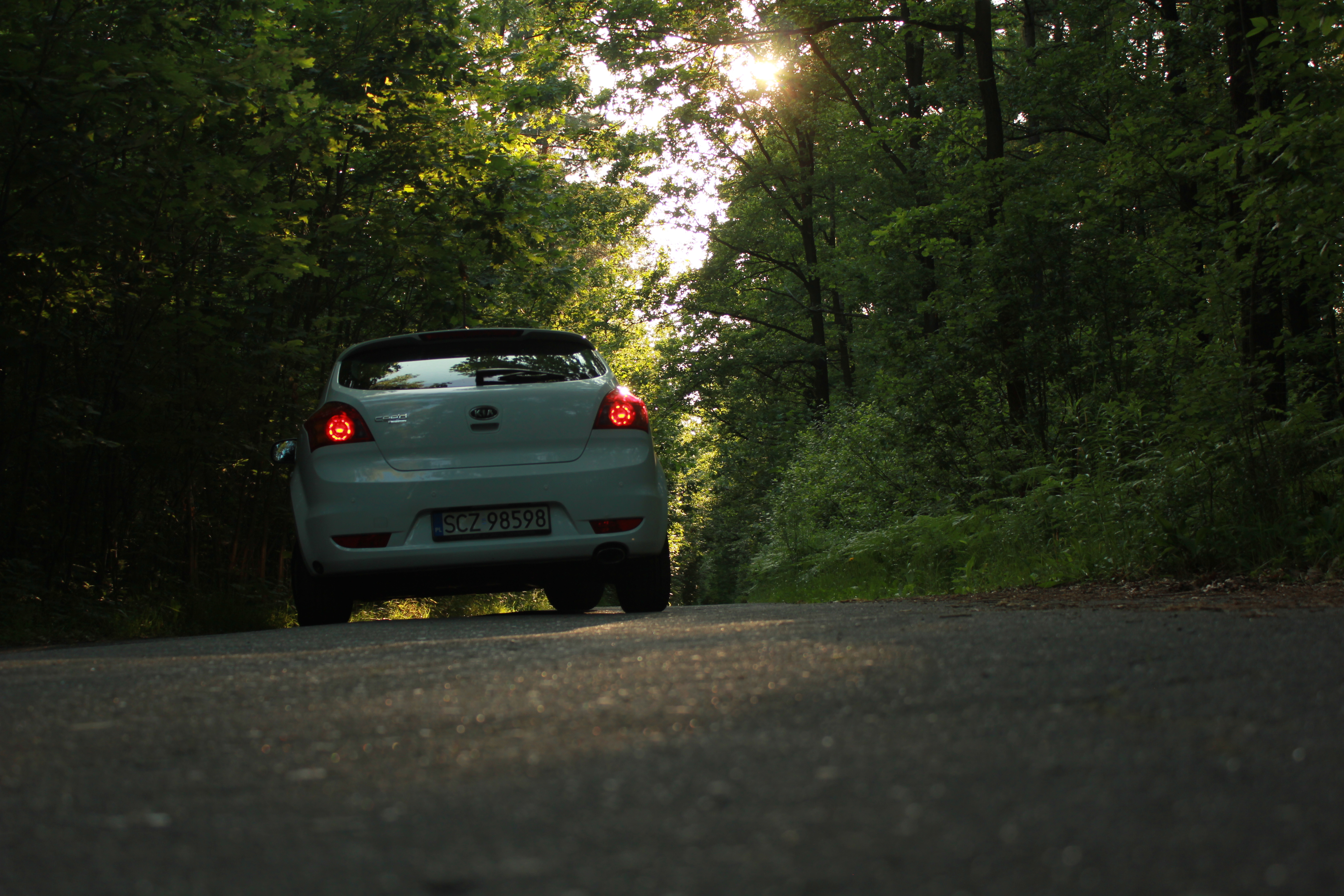 test5 – zdjęcie 19 | Alevtyna Photography