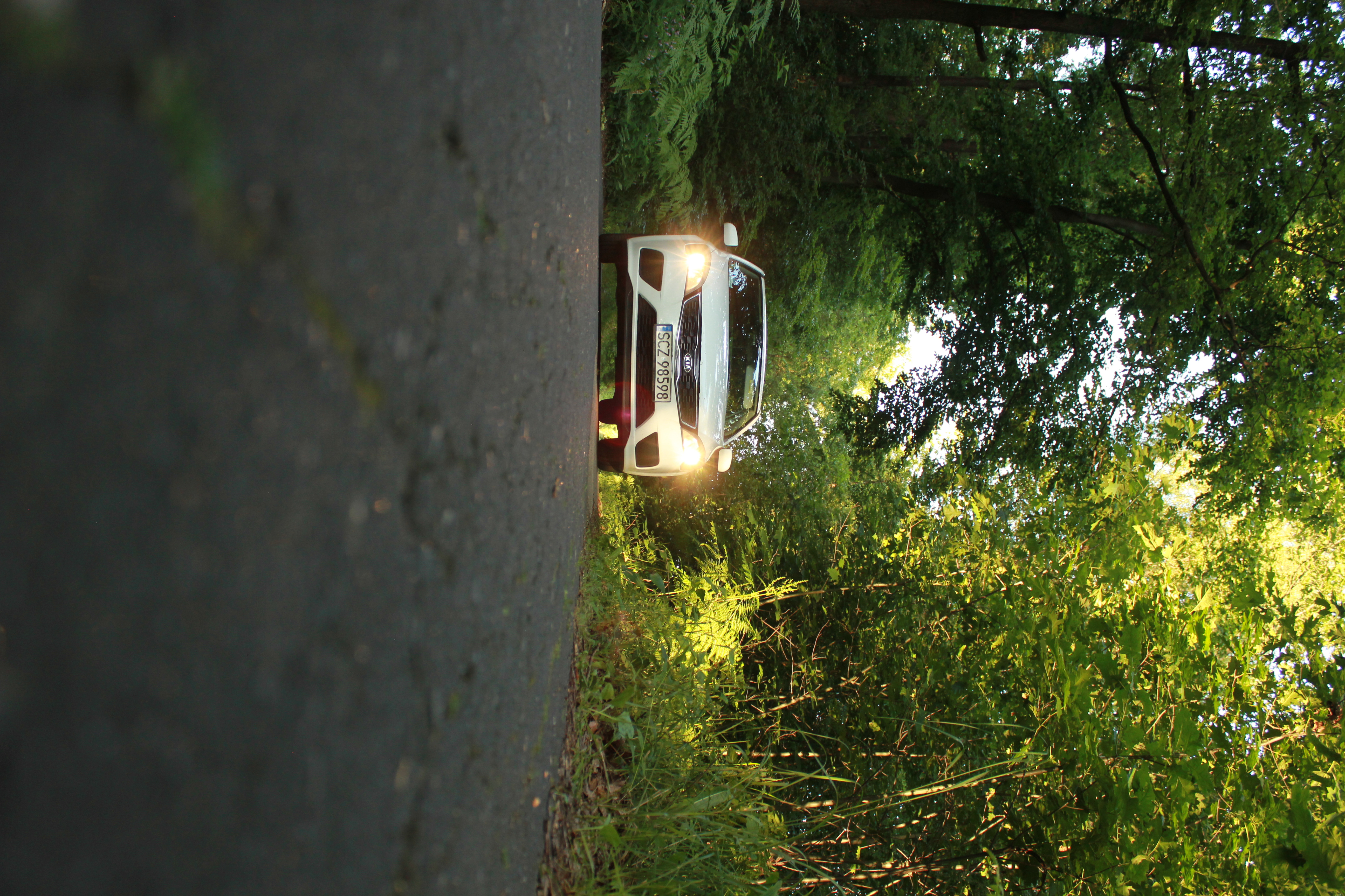 test5 – zdjęcie 31 | Alevtyna Photography