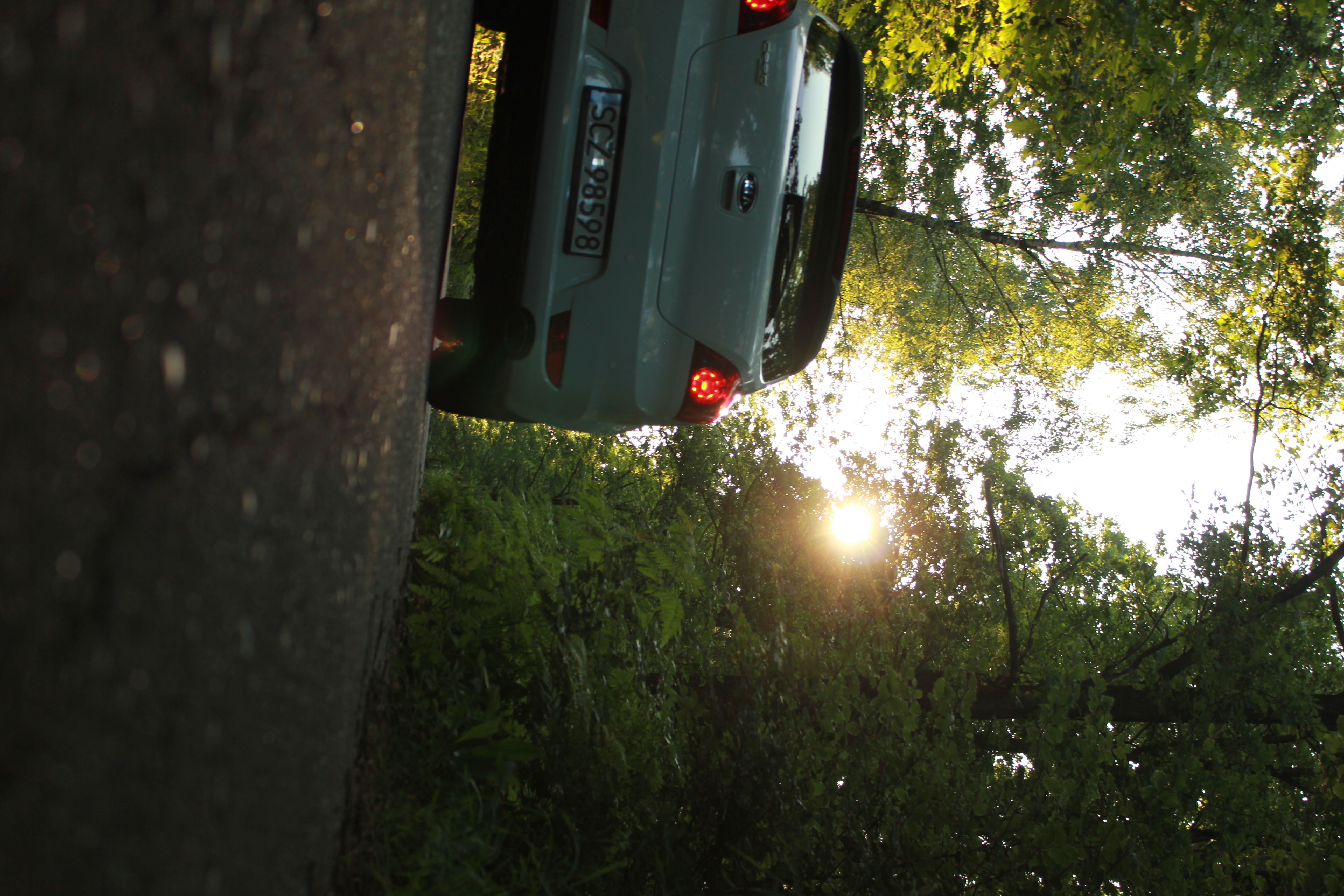 test5 – zdjęcie 20 | Alevtyna Photography