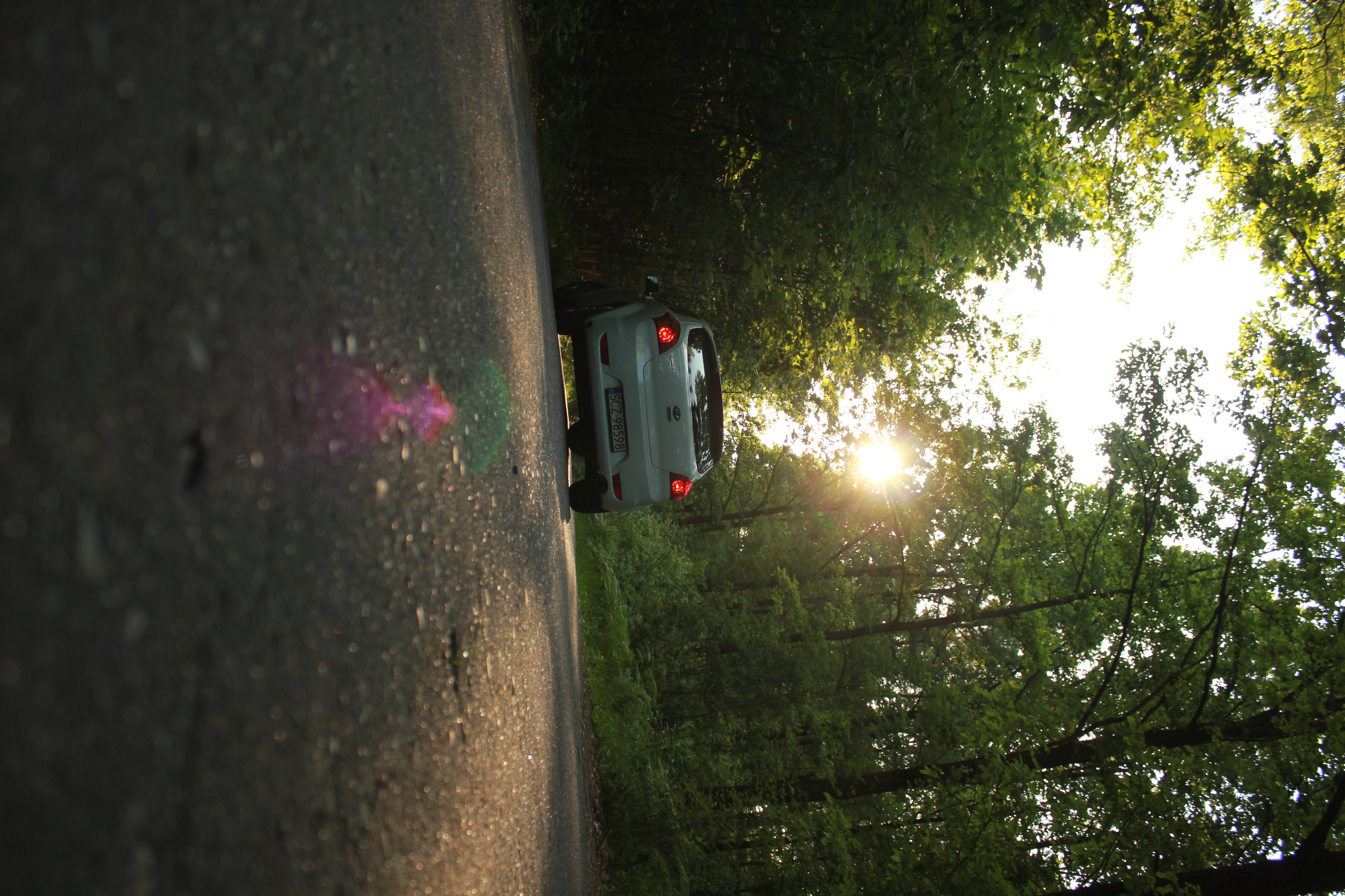 test5 – zdjęcie 9 | Alevtyna Photography