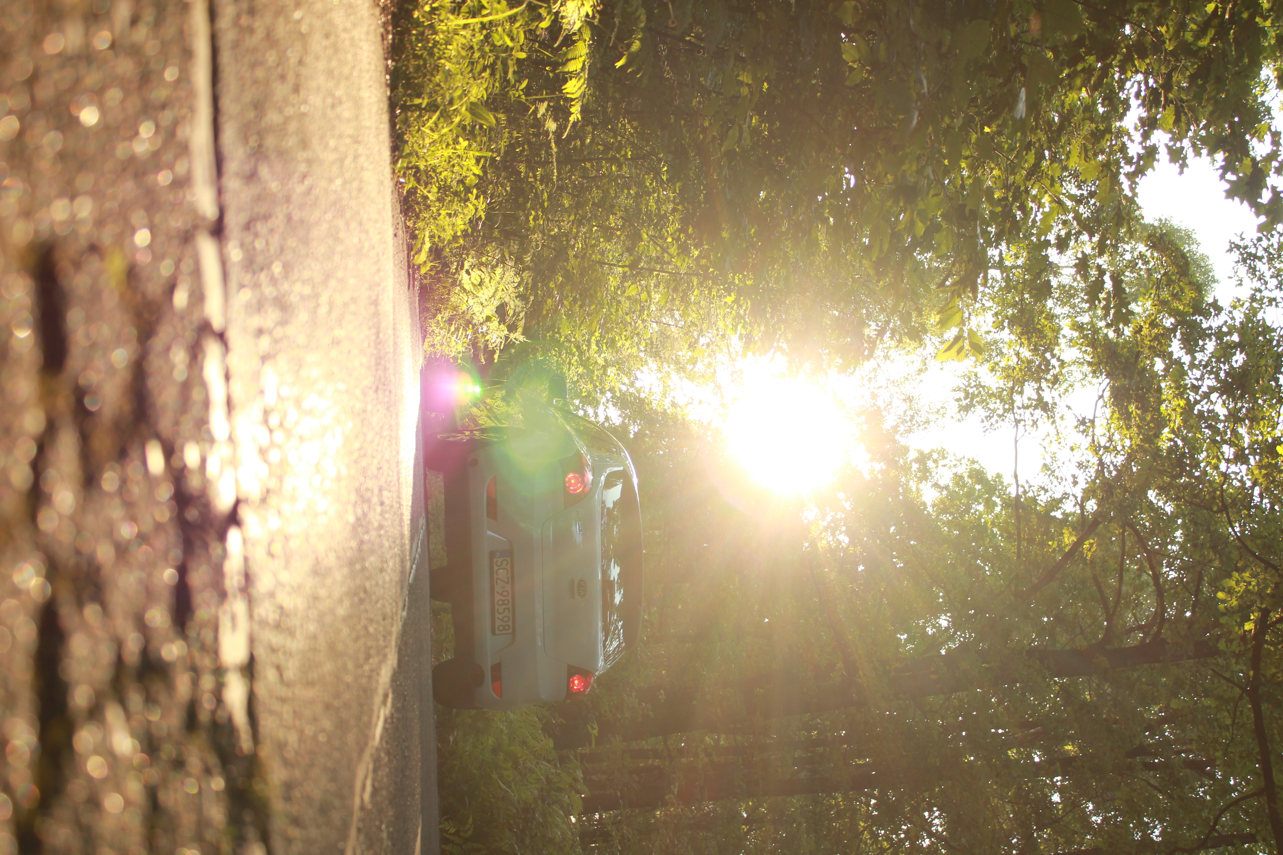 test5 – zdjęcie 24 | Alevtyna Photography