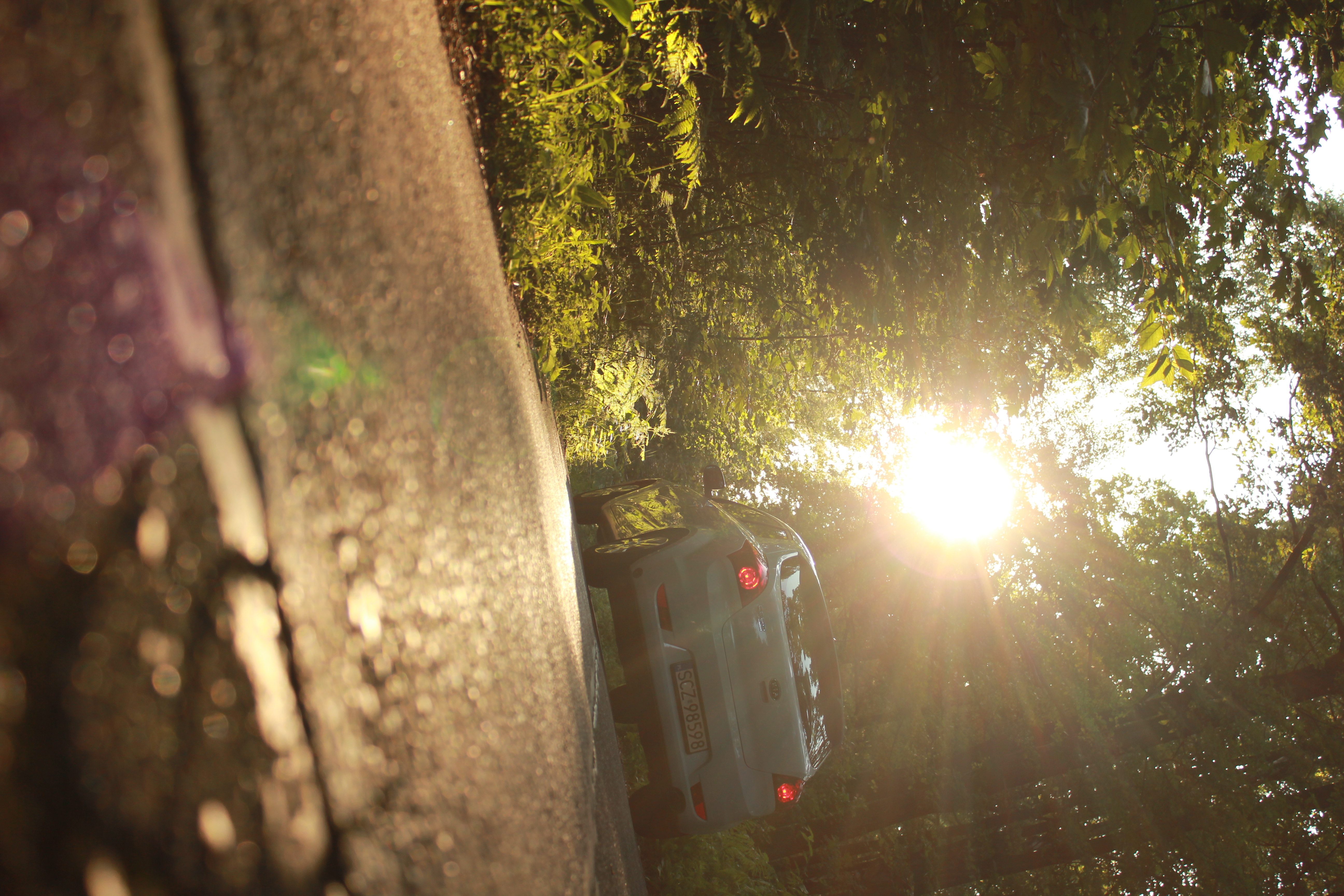 test5 – zdjęcie 26 | Alevtyna Photography