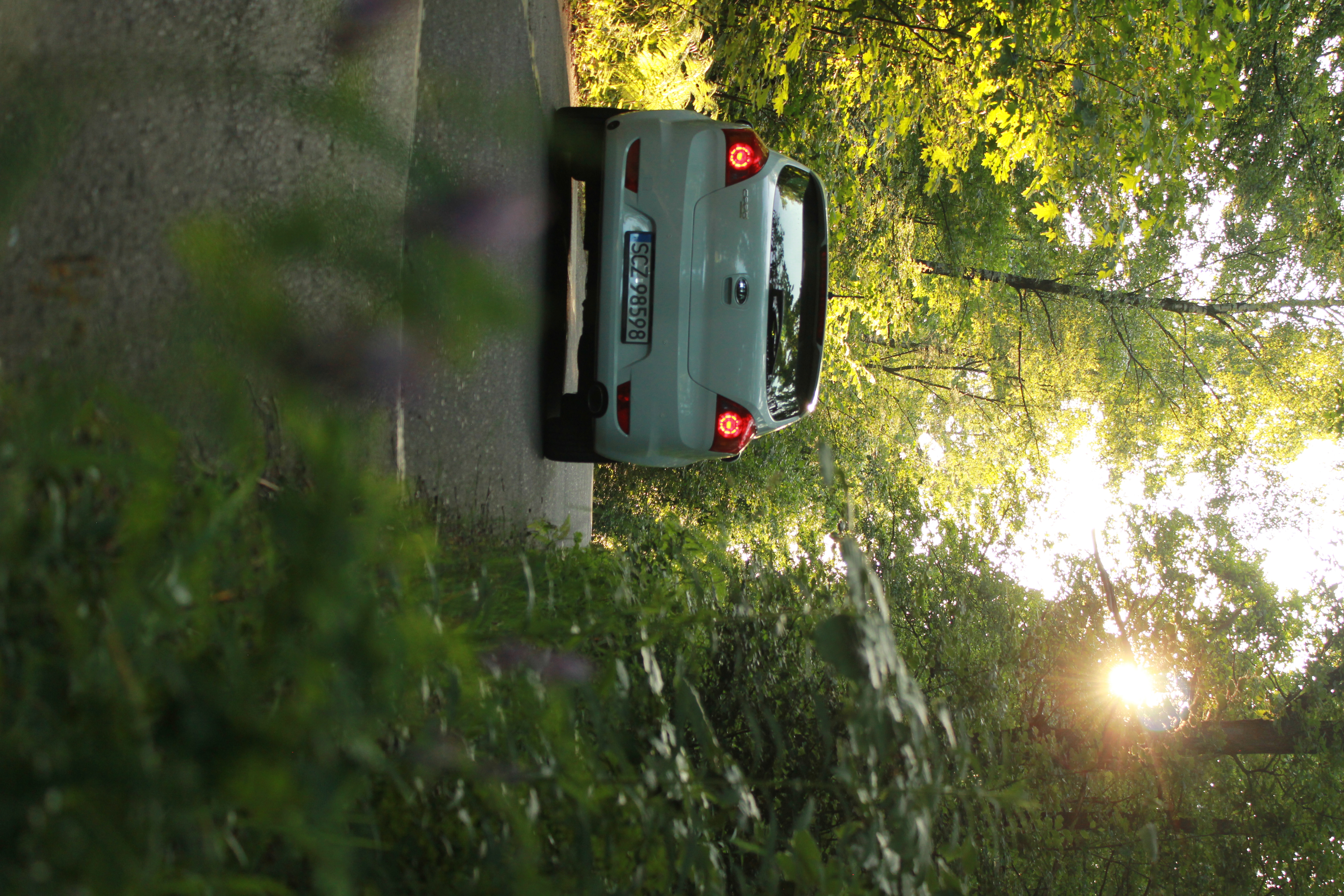 test5 – zdjęcie 28 | Alevtyna Photography