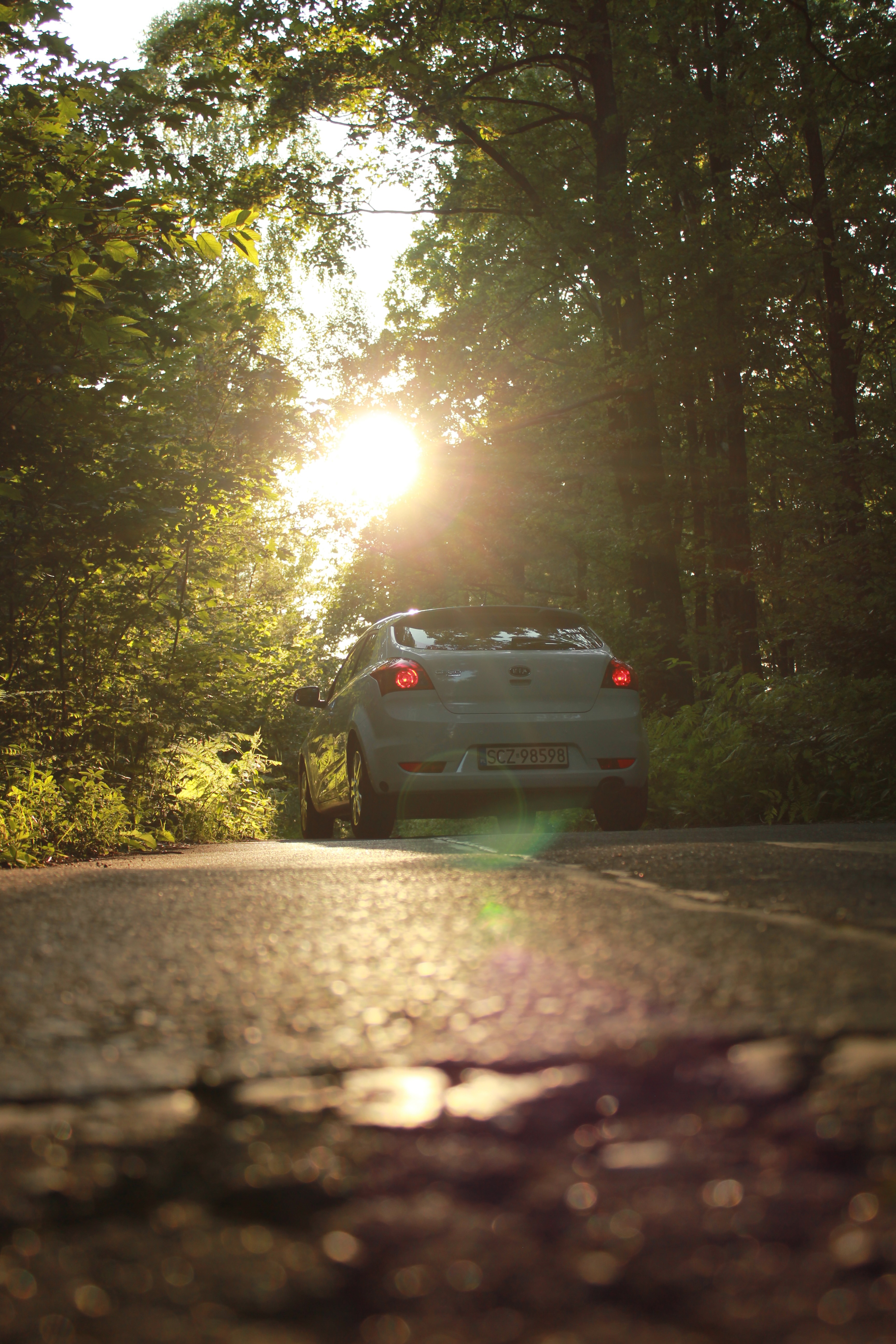 Test6 – zdjęcie 33 | Alevtyna Photography