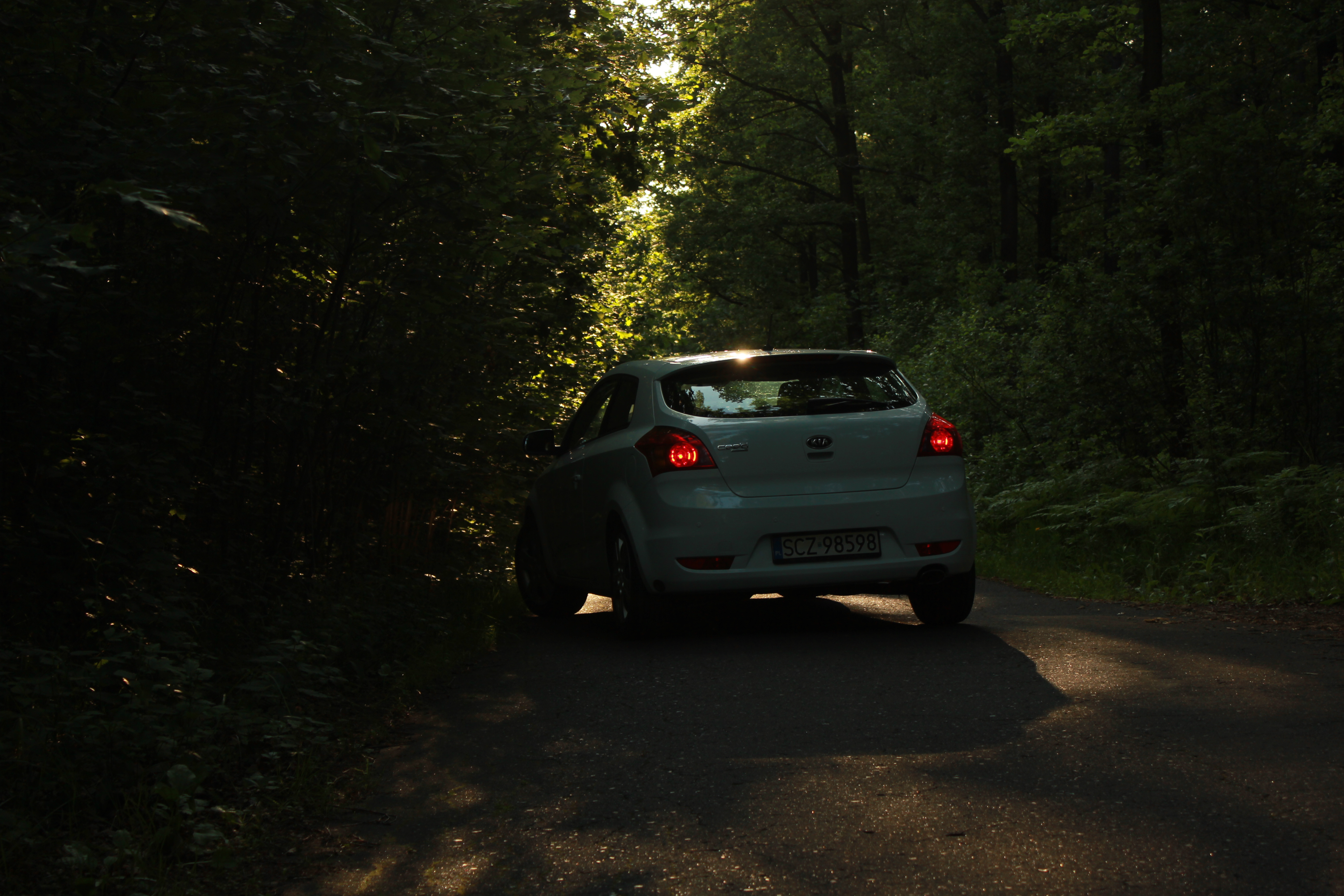 Test6 – zdjęcie 34 | Alevtyna Photography