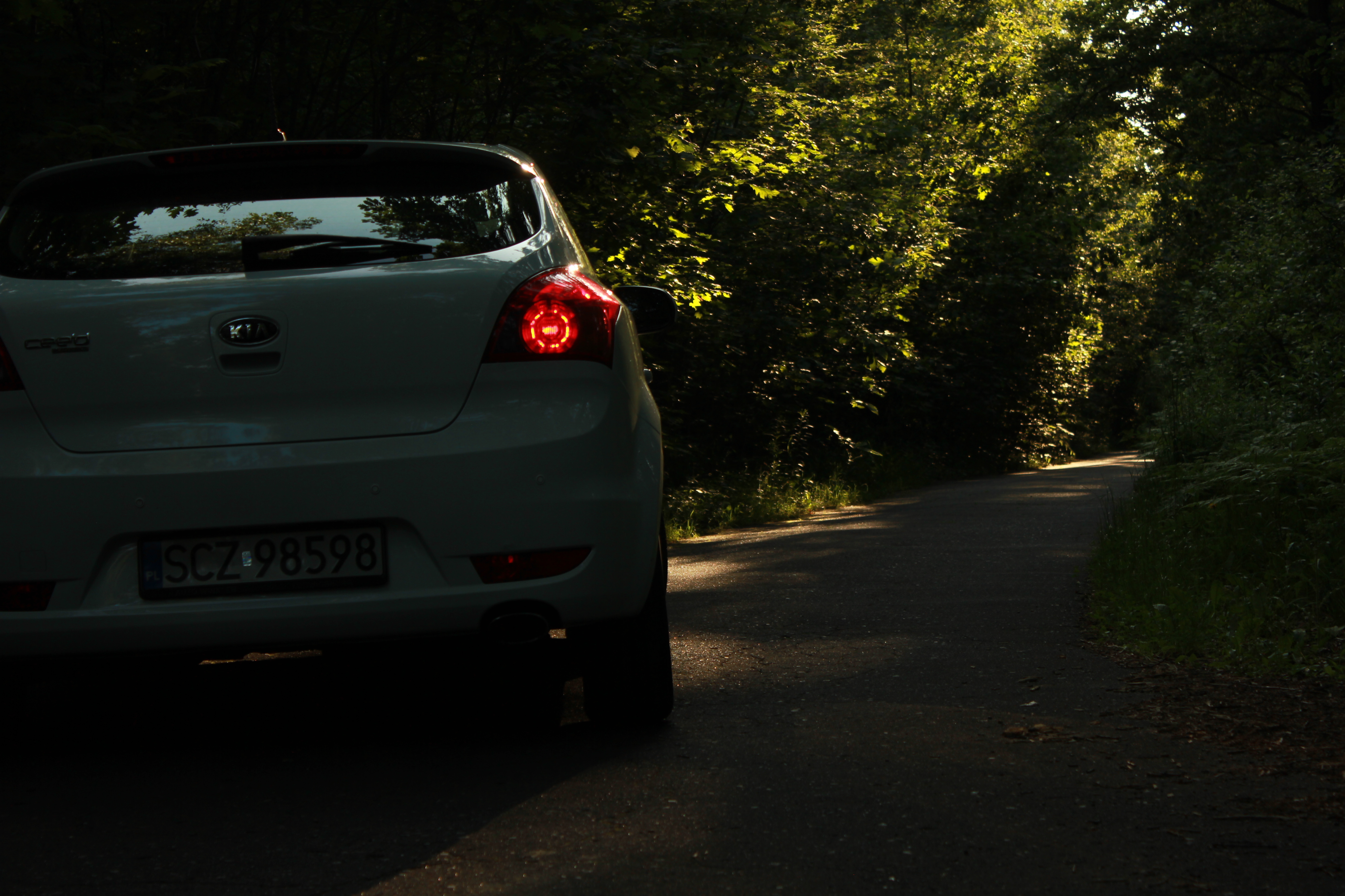 Test6 – zdjęcie 12 | Alevtyna Photography