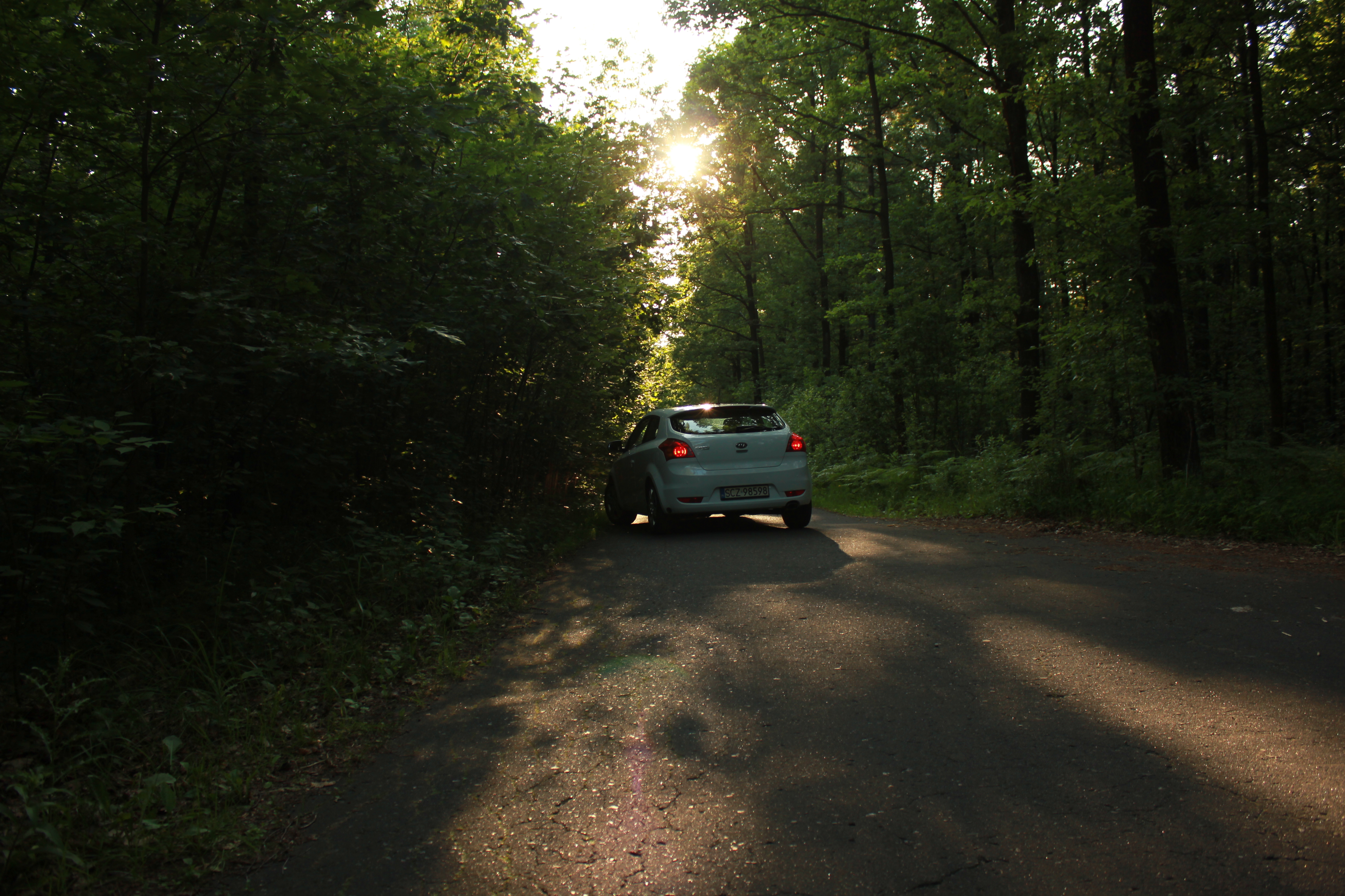 Test6 – zdjęcie 35 | Alevtyna Photography