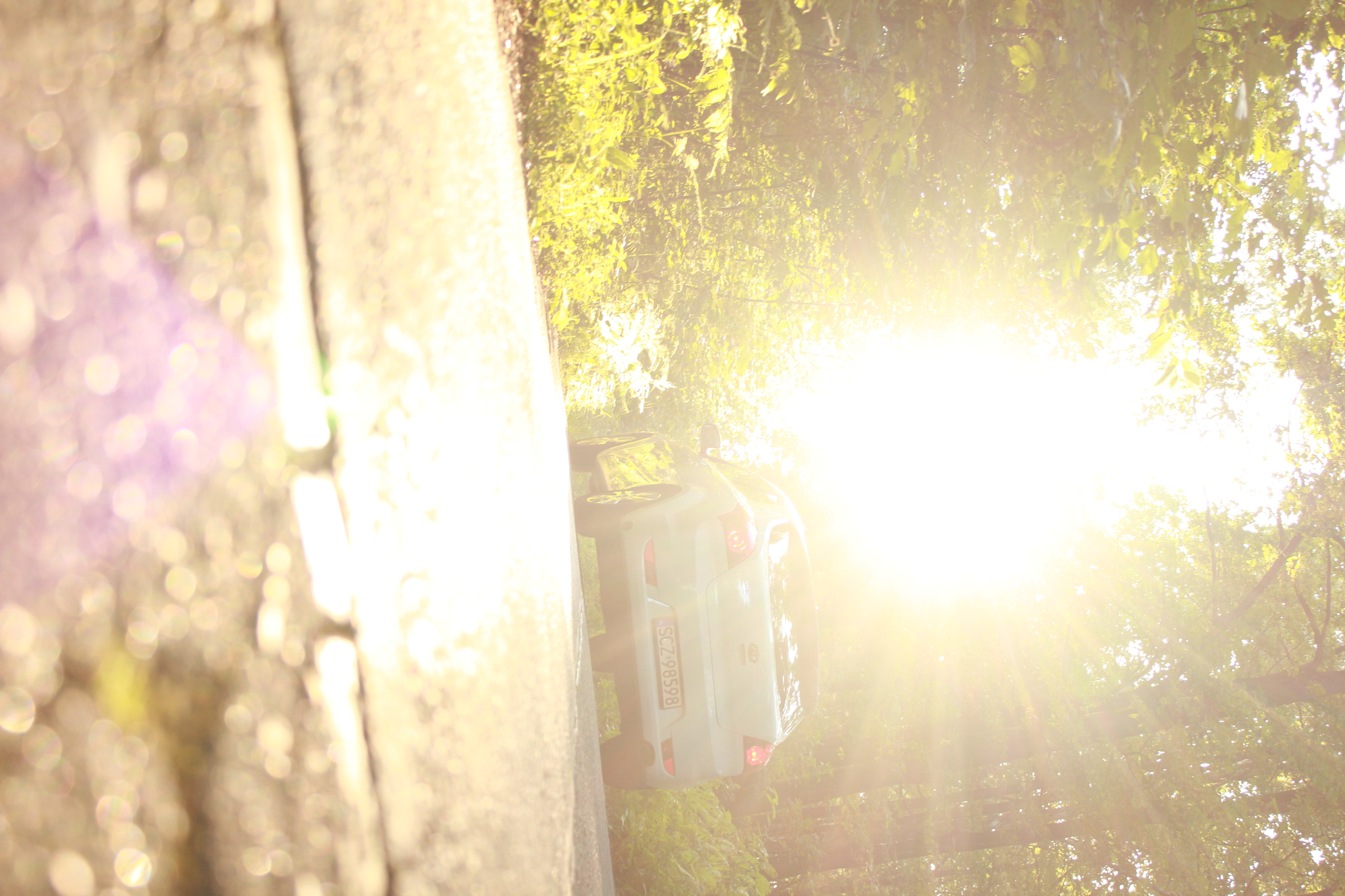 Test6 – zdjęcie 25 | Alevtyna Photography