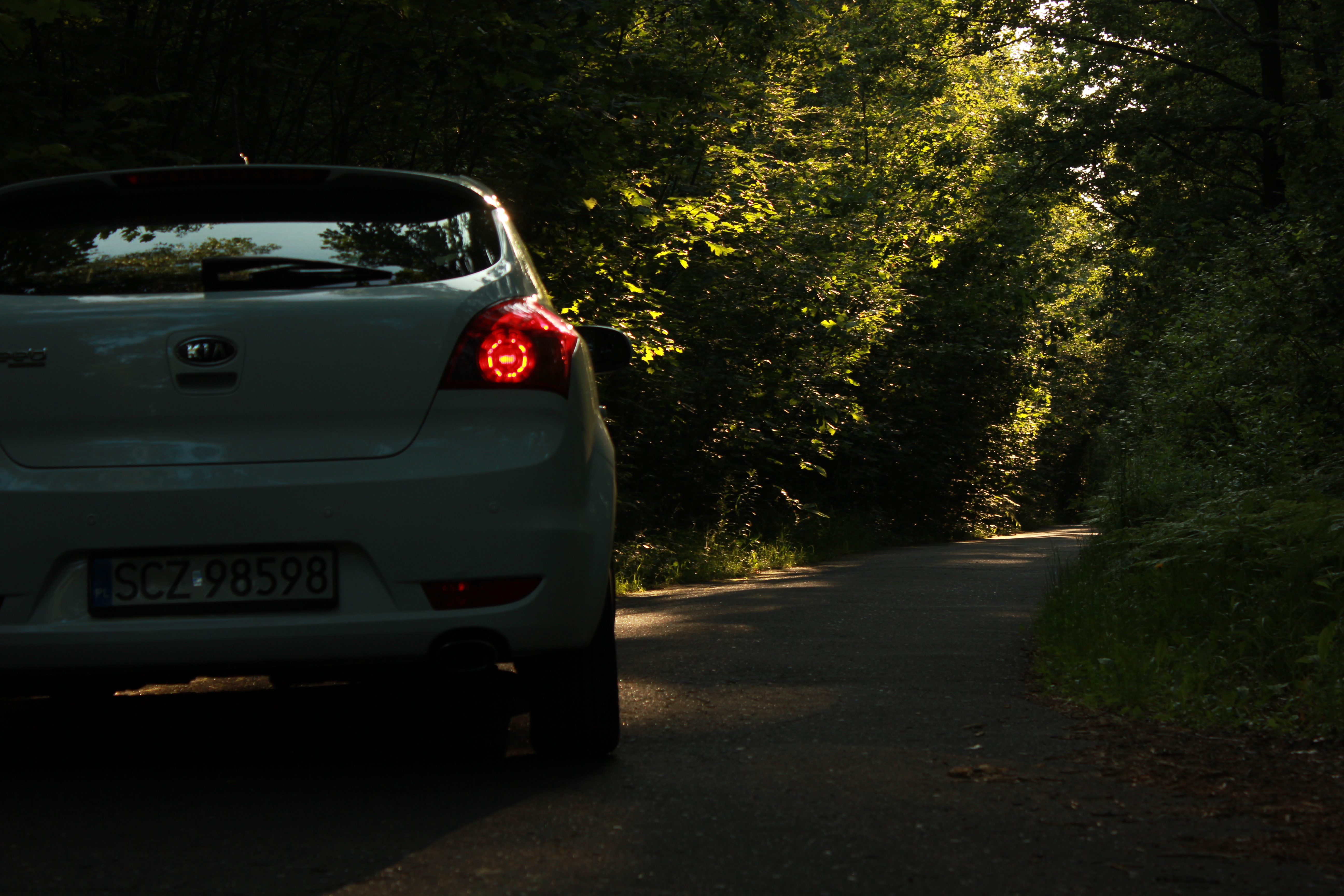 Test6 – zdjęcie 13 | Alevtyna Photography