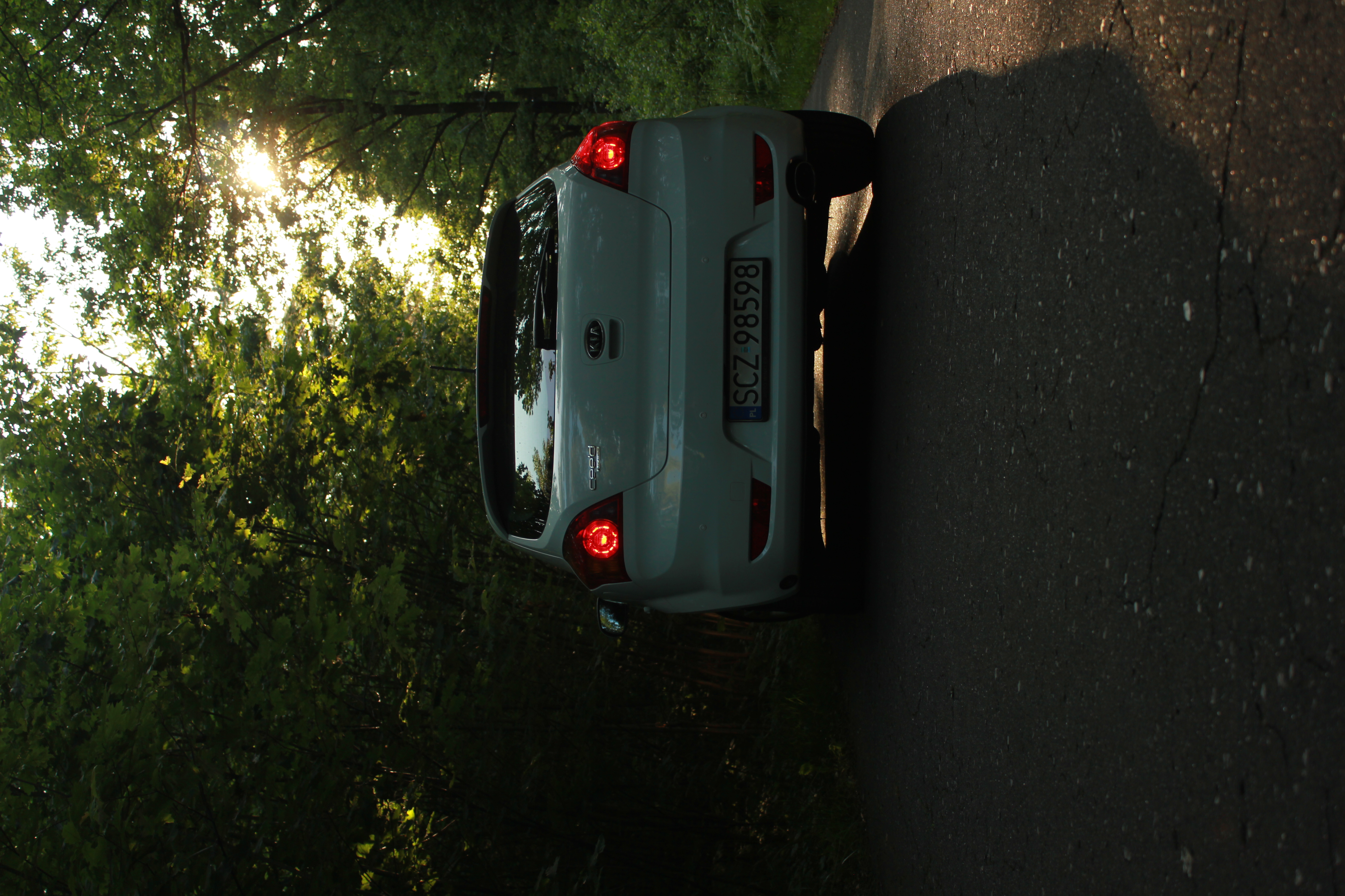 Test6 – zdjęcie 8 | Alevtyna Photography