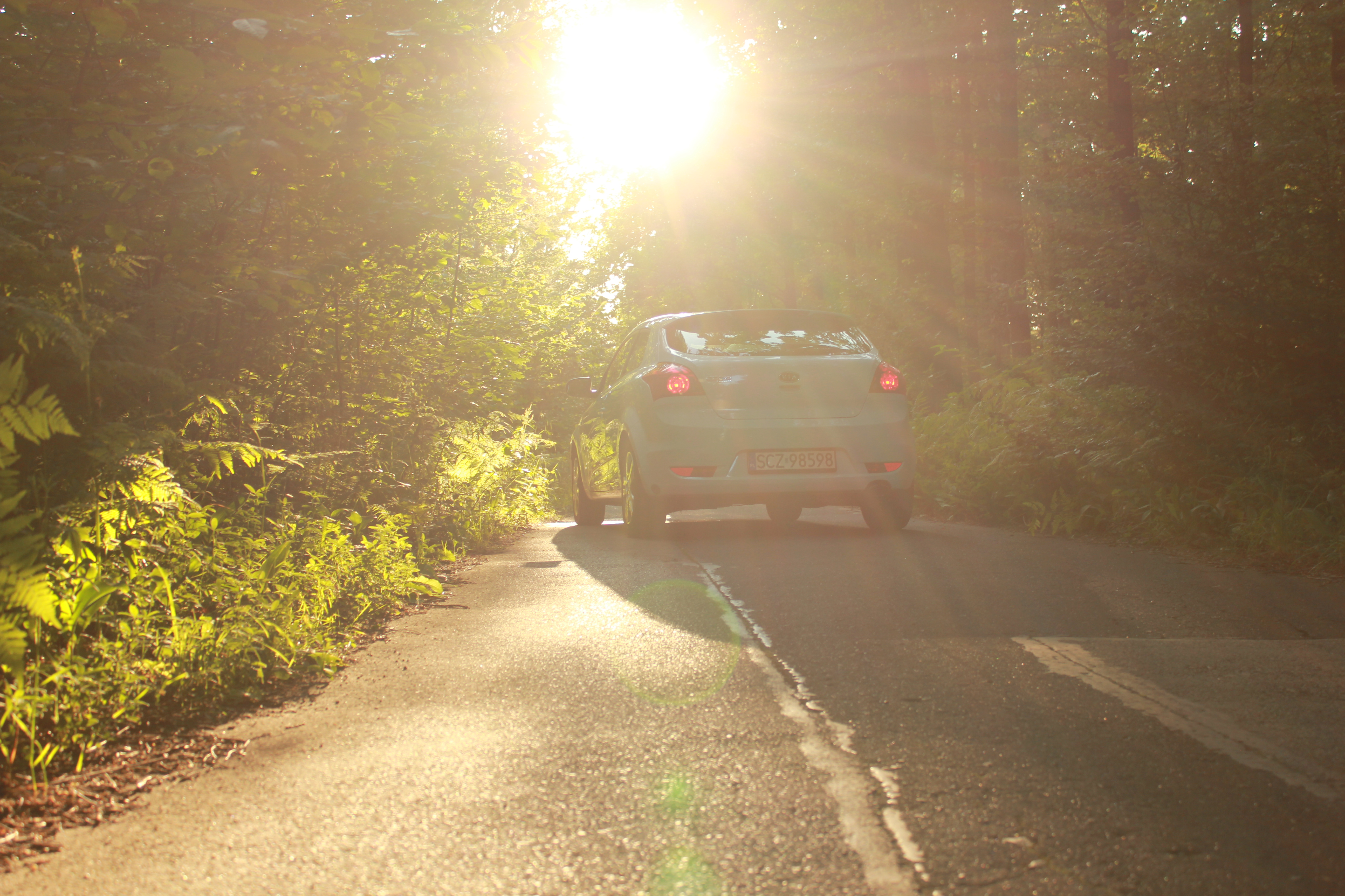 Test6 – zdjęcie 22 | Alevtyna Photography