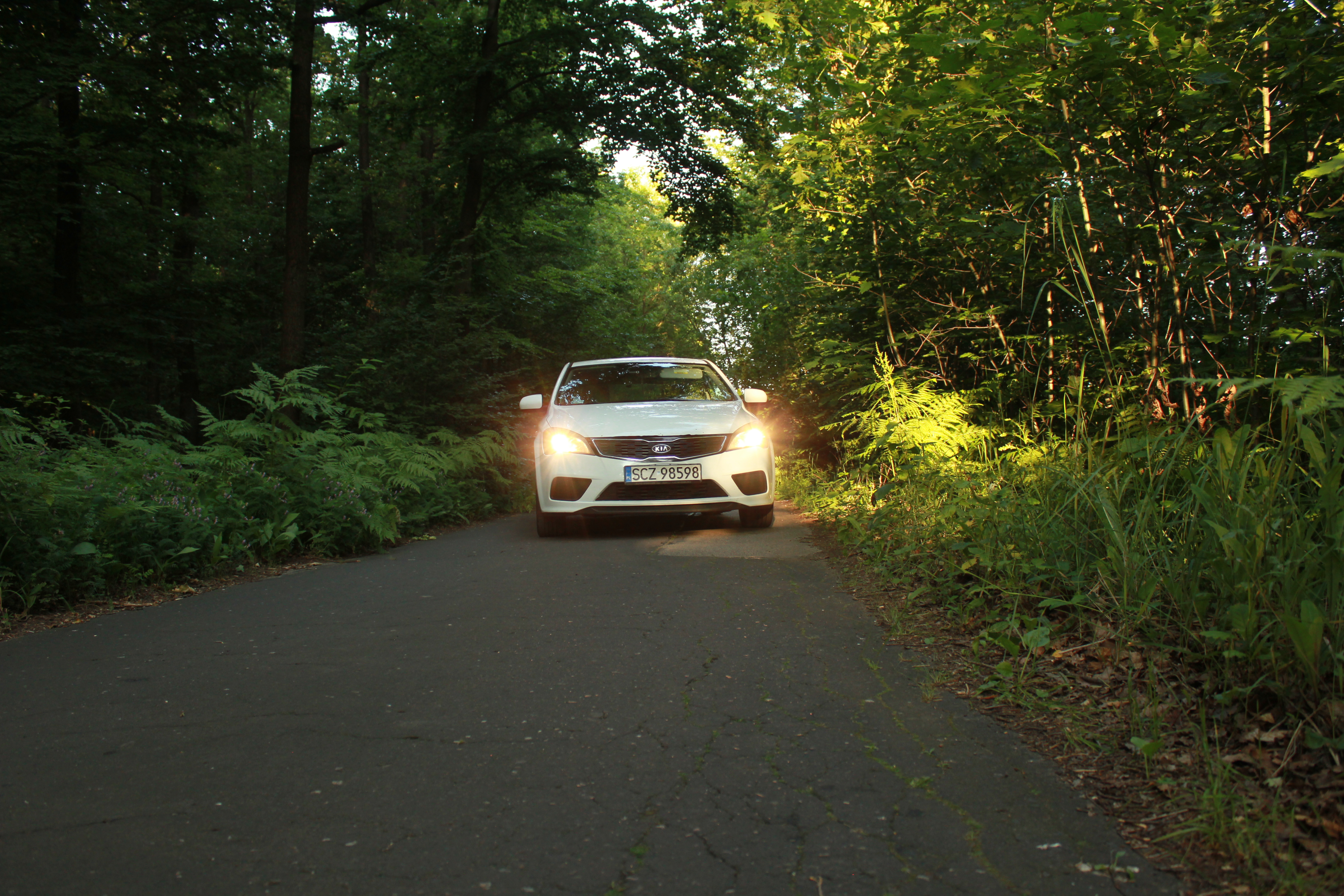 Test6 – zdjęcie 30 | Alevtyna Photography