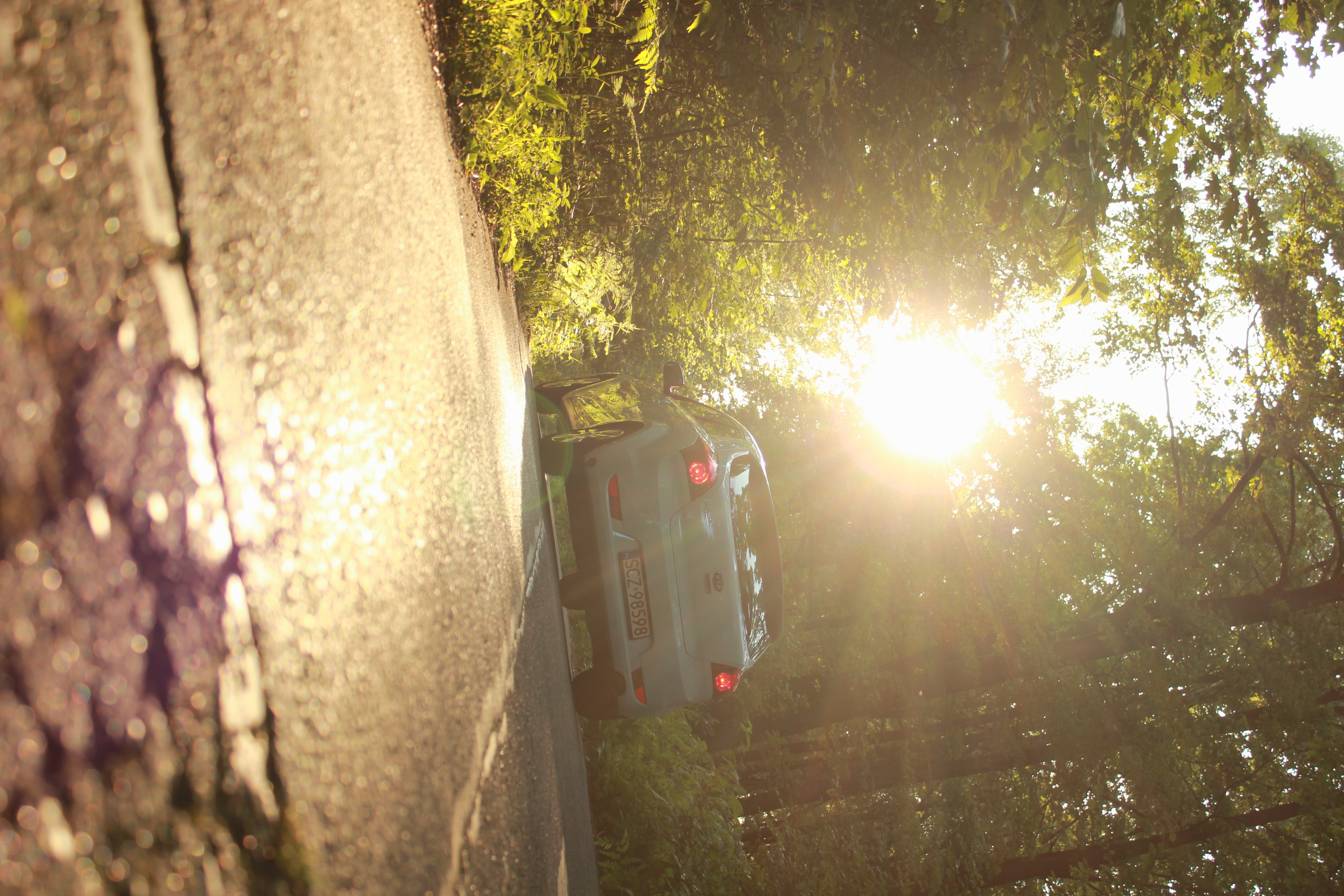 Test6 – zdjęcie 23 | Alevtyna Photography