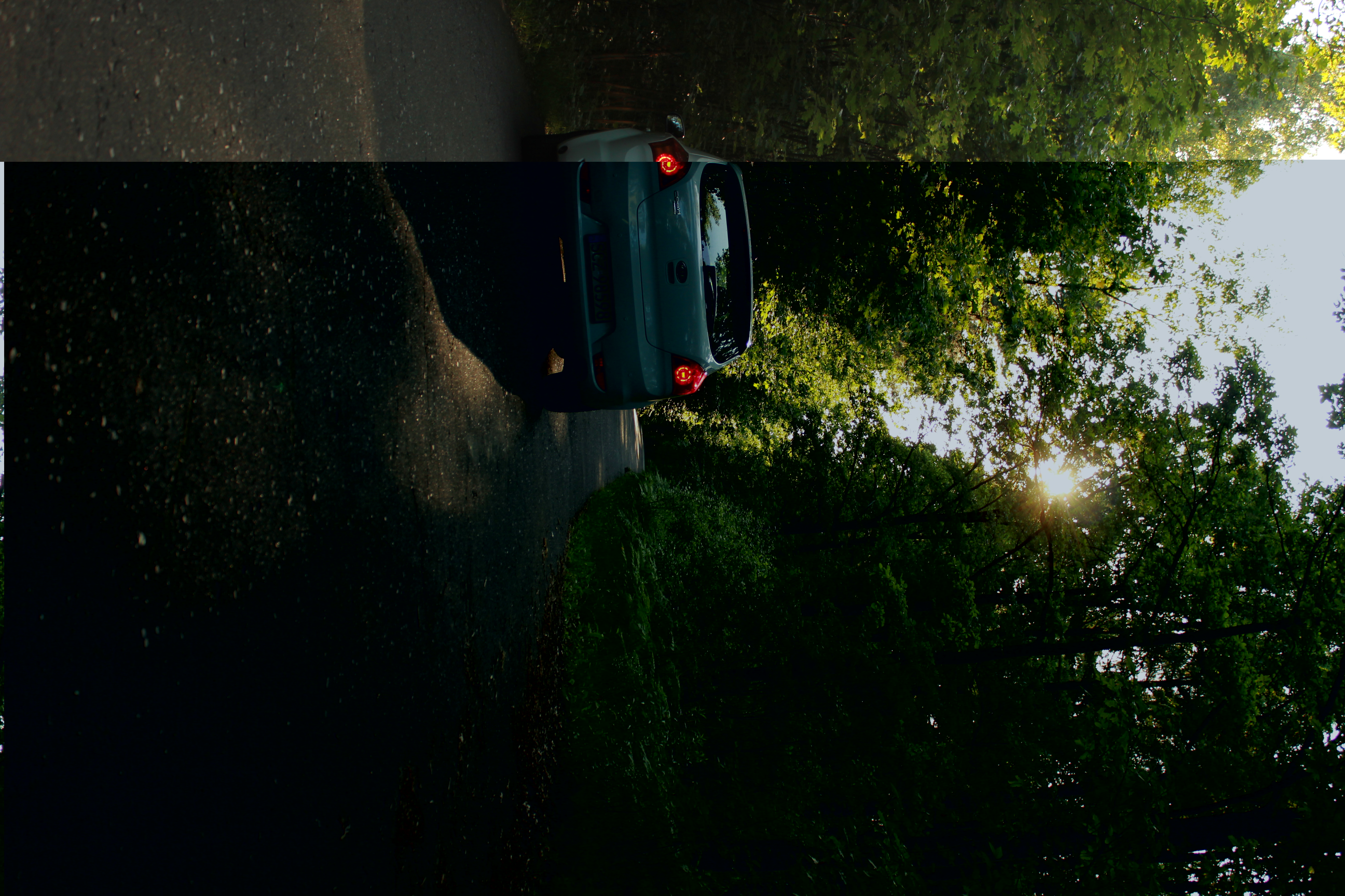 Test6 – zdjęcie 16 | Alevtyna Photography