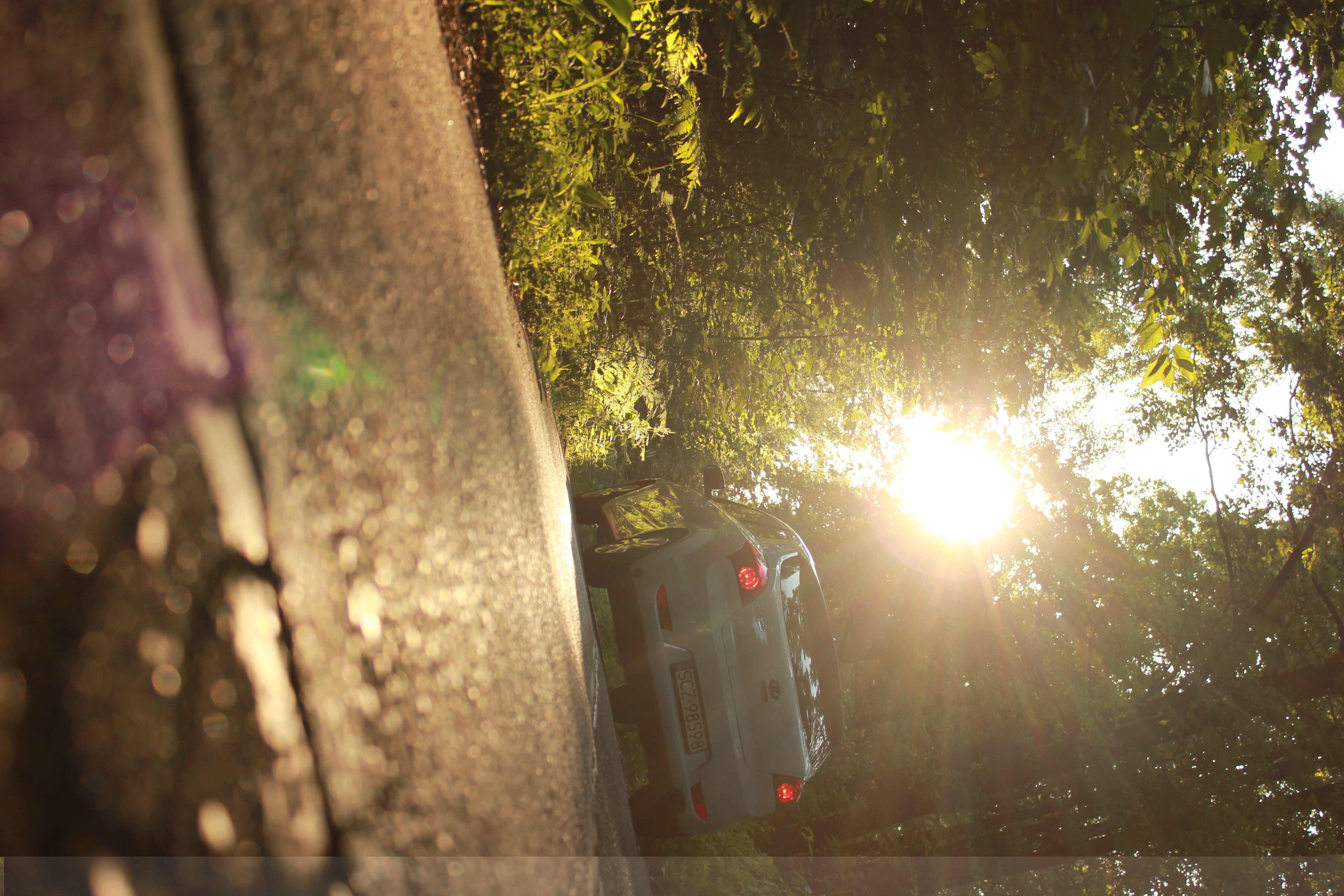 Test6 – zdjęcie 26 | Alevtyna Photography