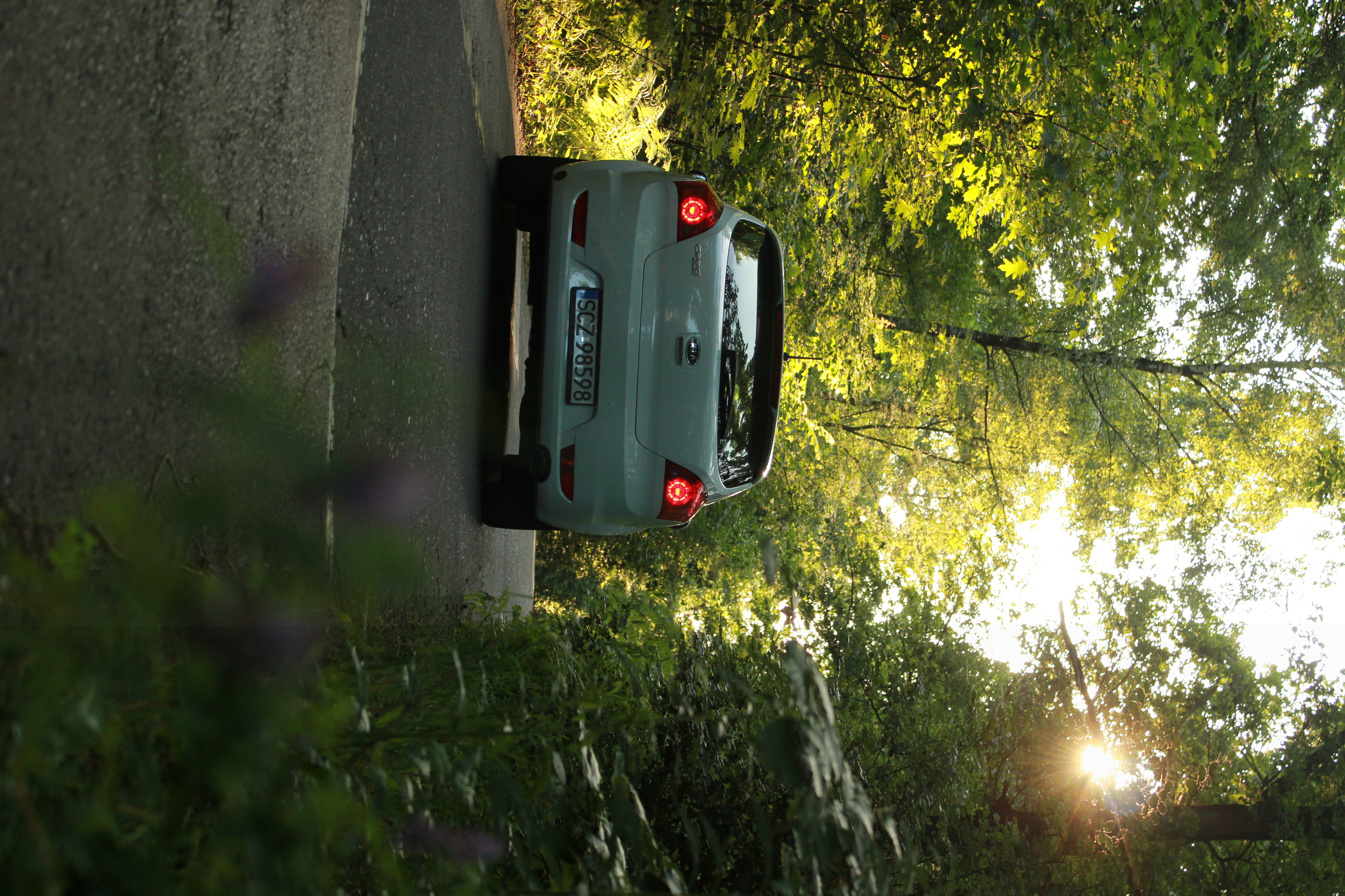 Test6 – zdjęcie 29 | Alevtyna Photography