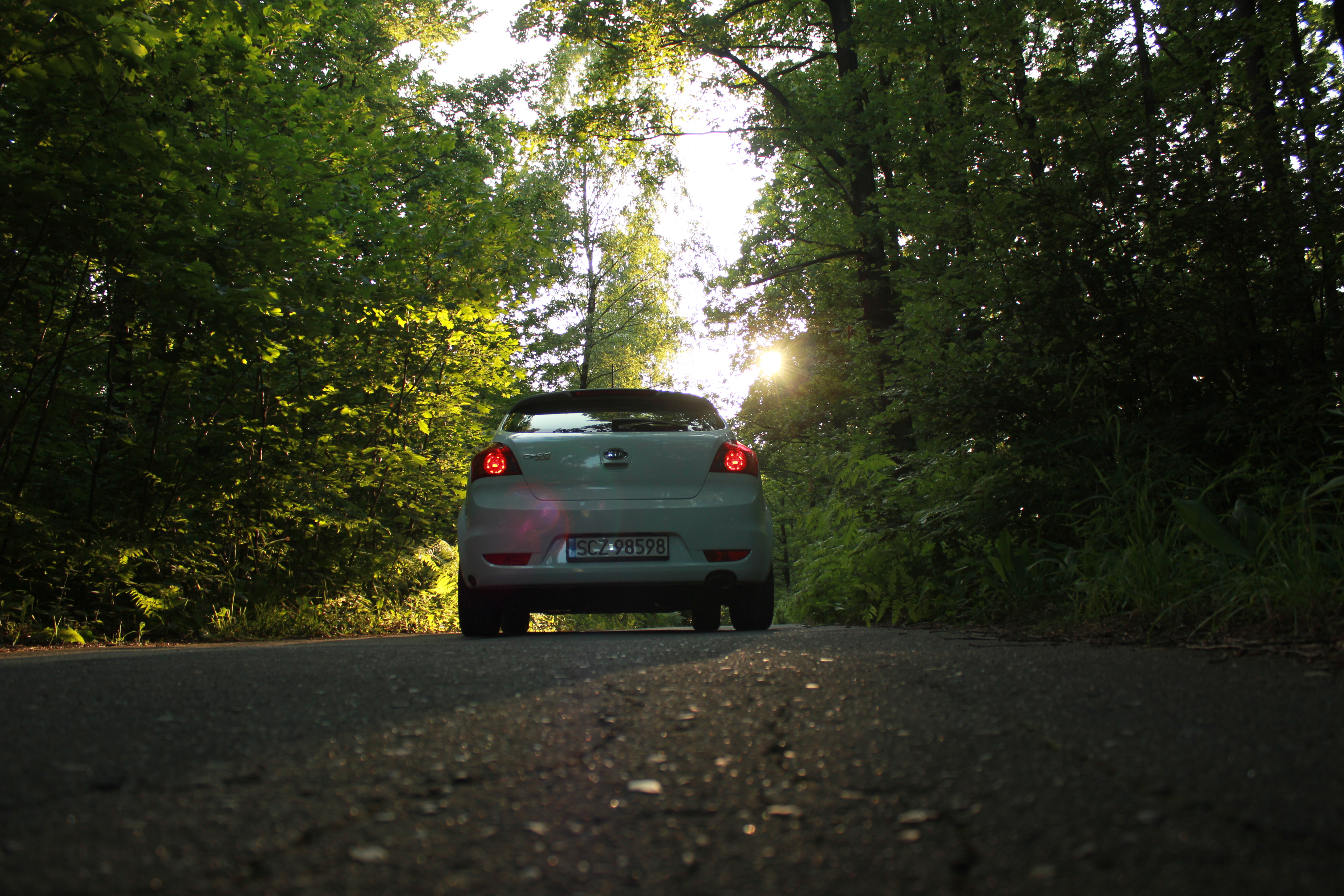 Test6 – zdjęcie 21 | Alevtyna Photography