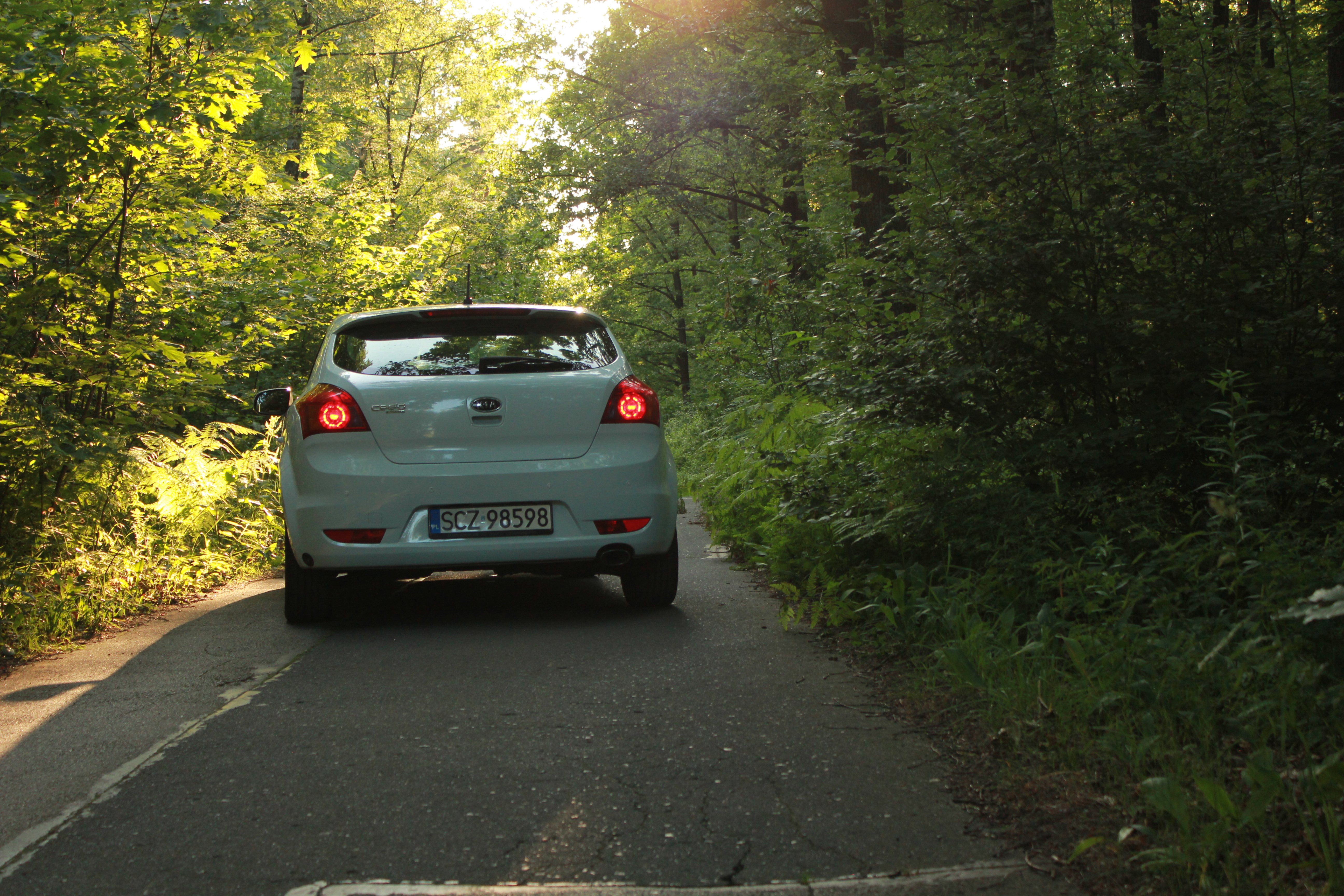 Test6 – zdjęcie 27 | Alevtyna Photography