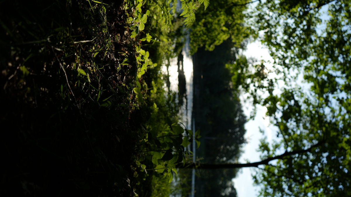 testt – zdjęcie 141 | Alevtyna Photography