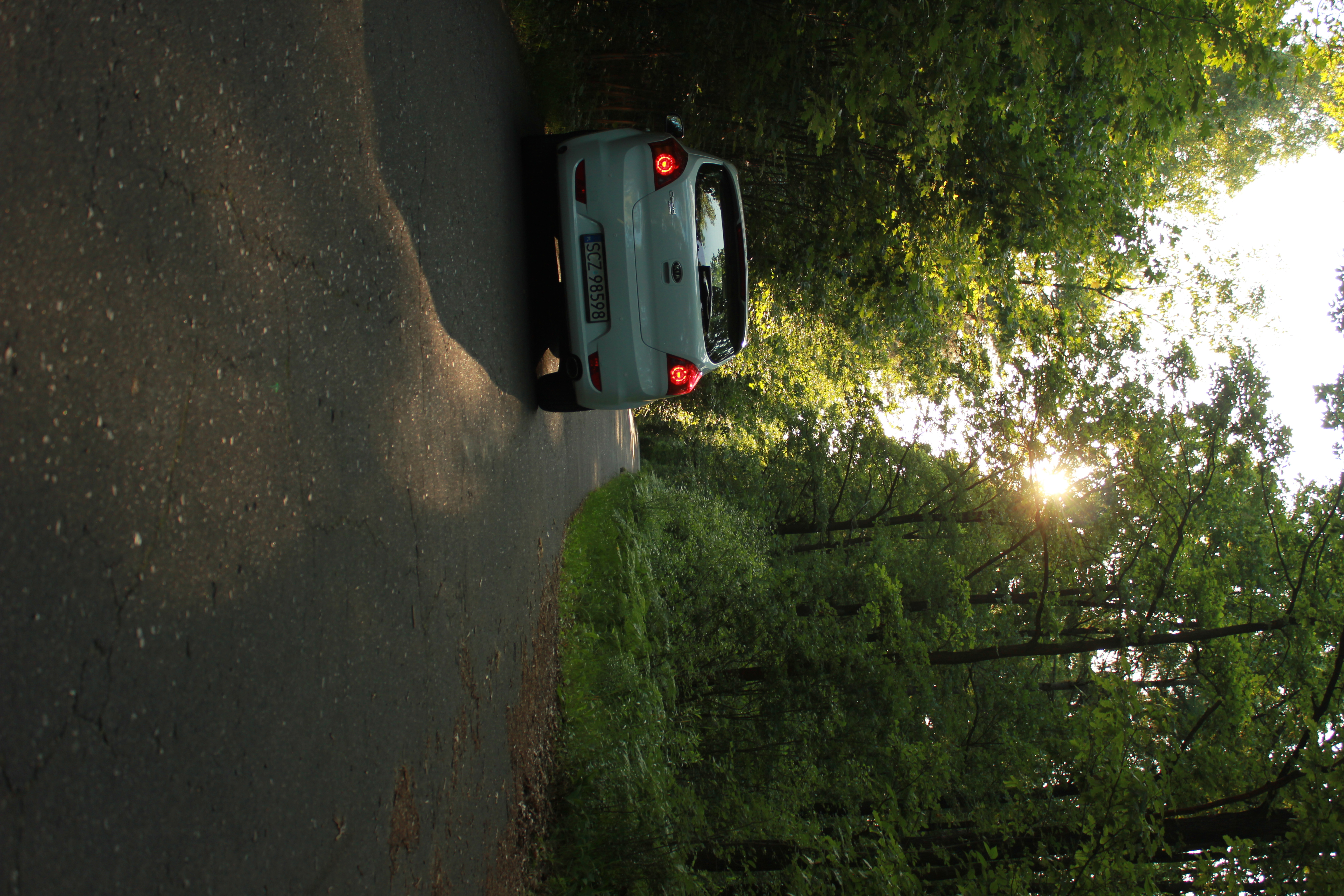 Sesja kijanka – zdjęcie 7 | Alevtyna Photography