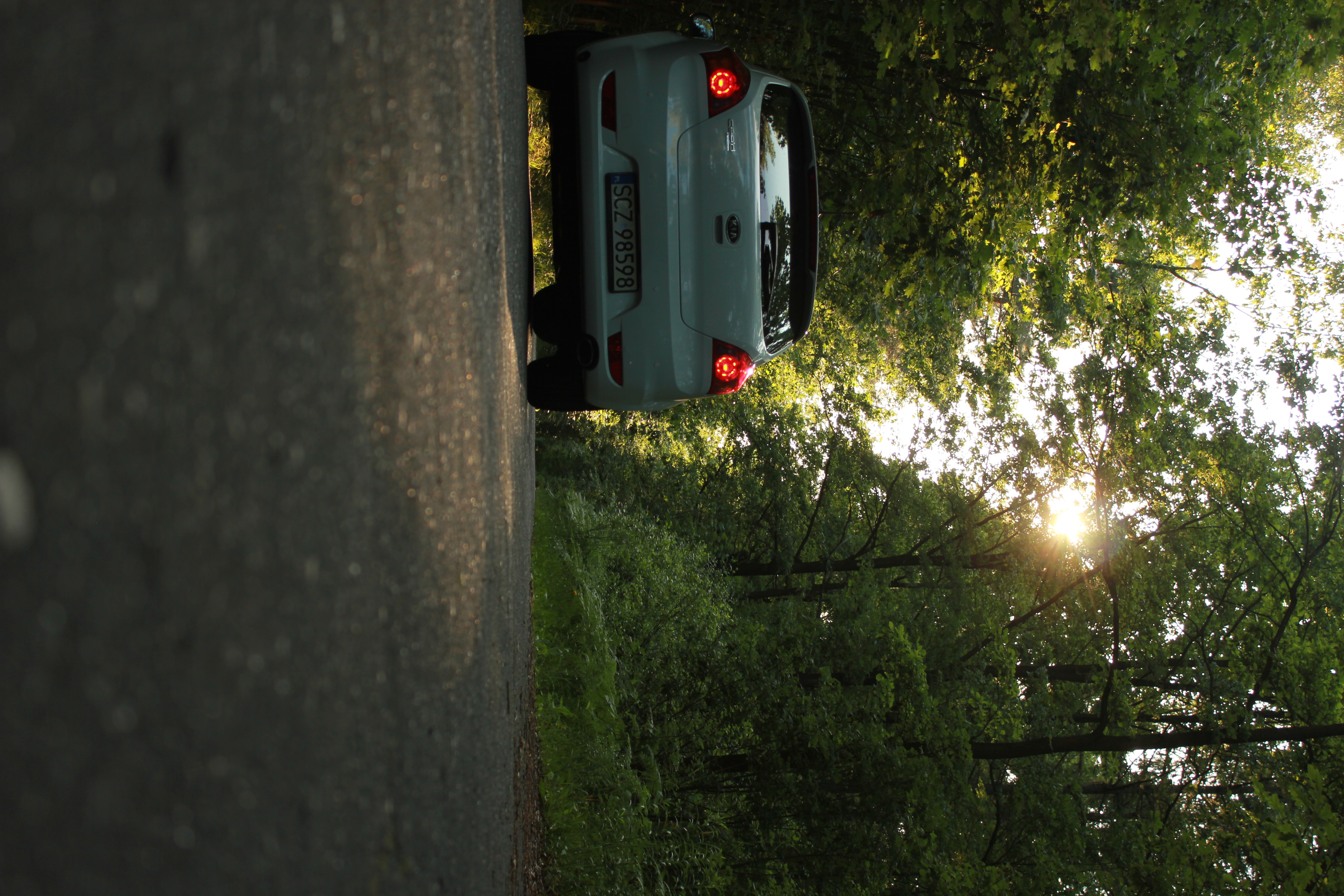 Sesja kijanka – zdjęcie 9 | Alevtyna Photography